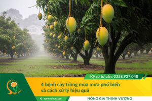 4 bệnh cây trồng mùa mưa phổ biến và cách xử lý hiệu quả