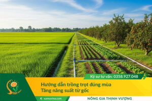 Hướng dẫn trồng trọt đúng mùa – Tăng năng suất từ gốc