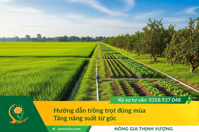 Hướng dẫn trồng trọt đúng mùa – Tăng năng suất từ gốc