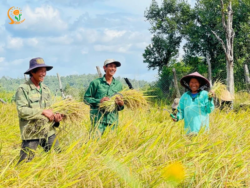 Phân bón hữu cơ: Xu hướng chuyển đổi tất yếu tại Việt Nam 2025
