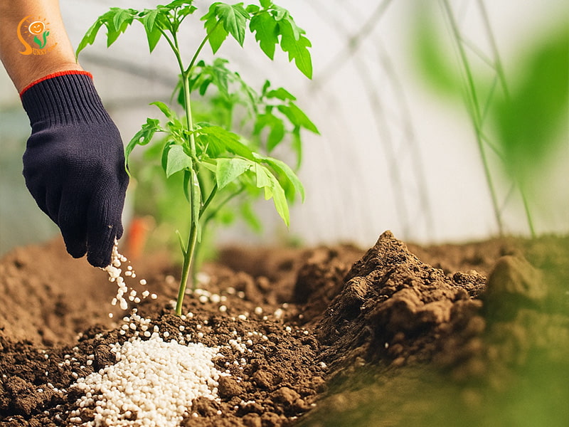 Phân bón hữu cơ: Xu hướng chuyển đổi tất yếu tại Việt Nam 2025