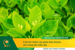 3 lợi ích chính của phân bón Amino cho nông dân hiện đại