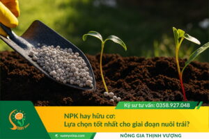 NPK hay hữu cơ: Lựa chọn tốt nhất cho giai đoạn nuôi trái?