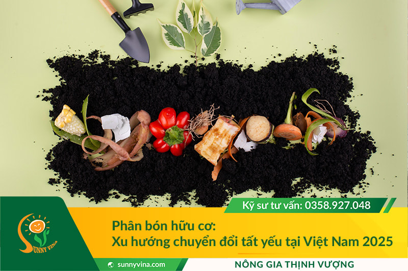Phân bón hữu cơ: Xu hướng chuyển đổi tất yếu tại Việt Nam 2025