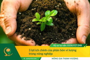 3 lợi ích chính của phân bón vi lượng trong nông nghiệp