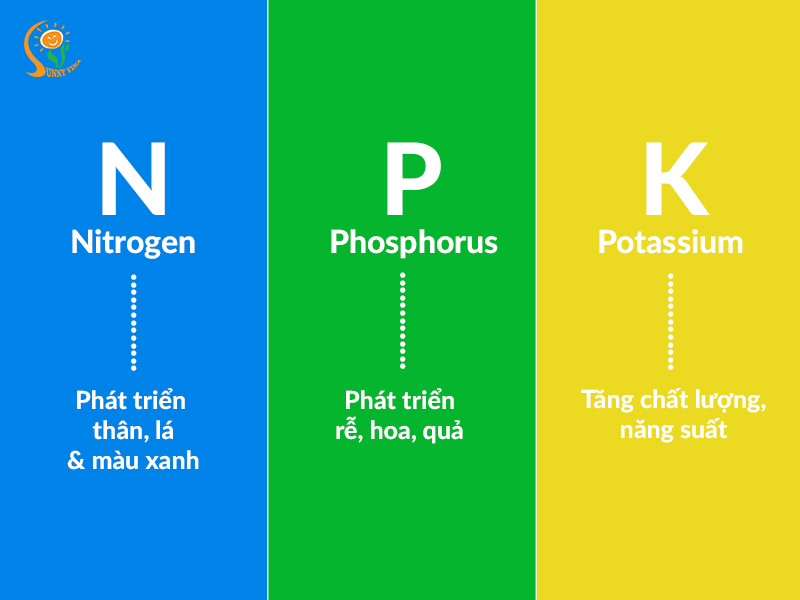 4 lưu ý khi chọn phân NPK theo giai đoạn phát triển