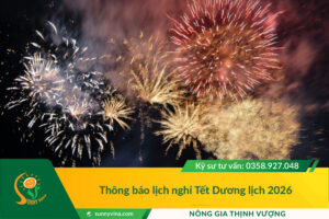 Sunny Vina - Thông báo lịch nghỉ Tết Dương lịch 2026