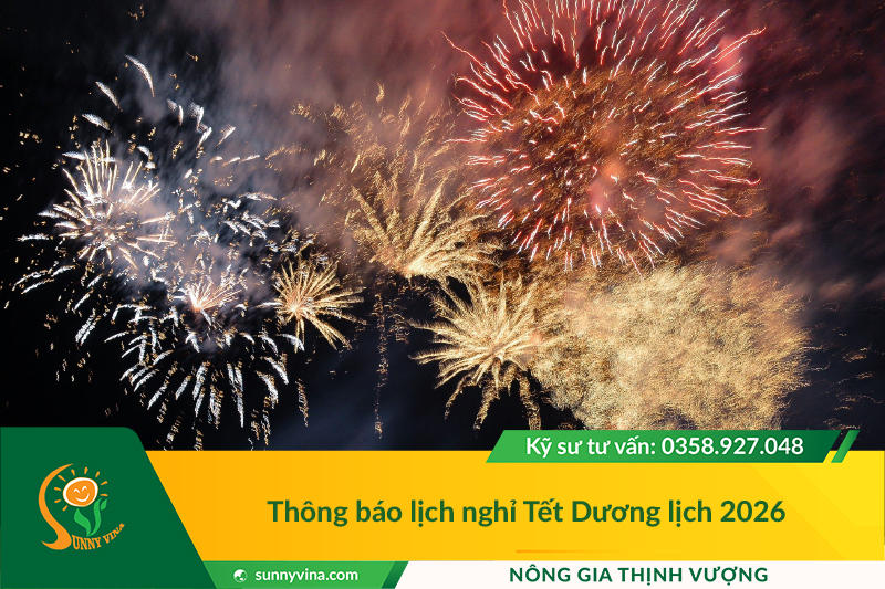 Sunny Vina - Thông báo lịch nghỉ Tết Dương lịch 2026