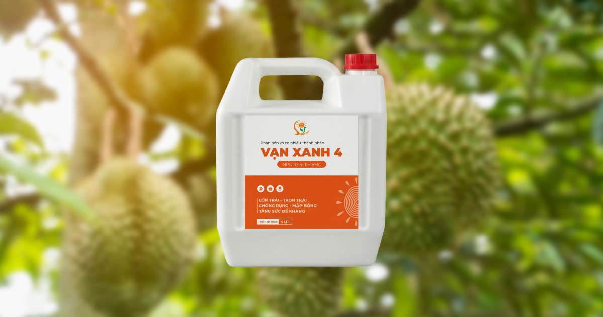 Cách sử dụng phân bón xô, can hiệu quả
