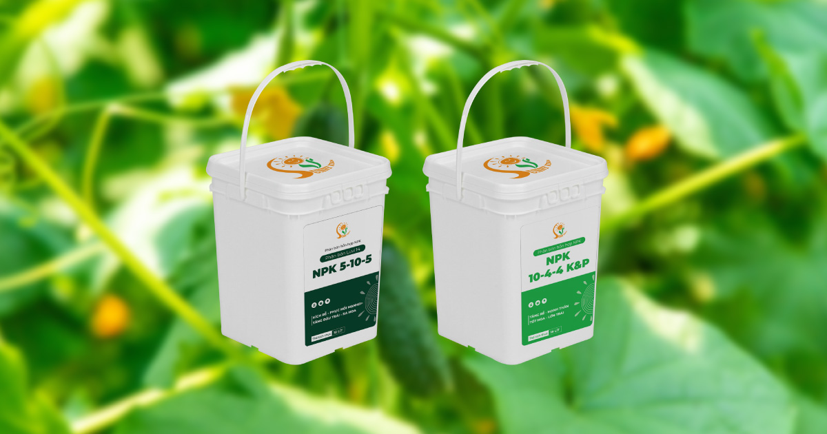 Vai trò của phân bón xô, can trong canh tác