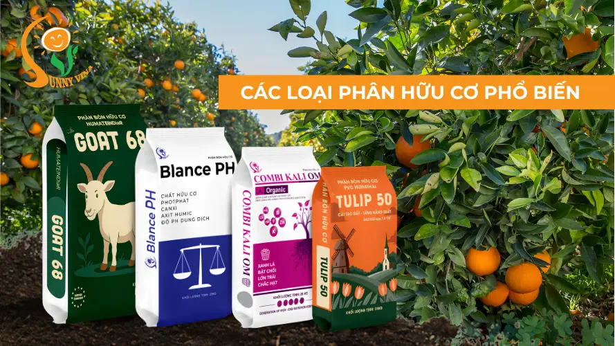 Phân bón hữu cơ