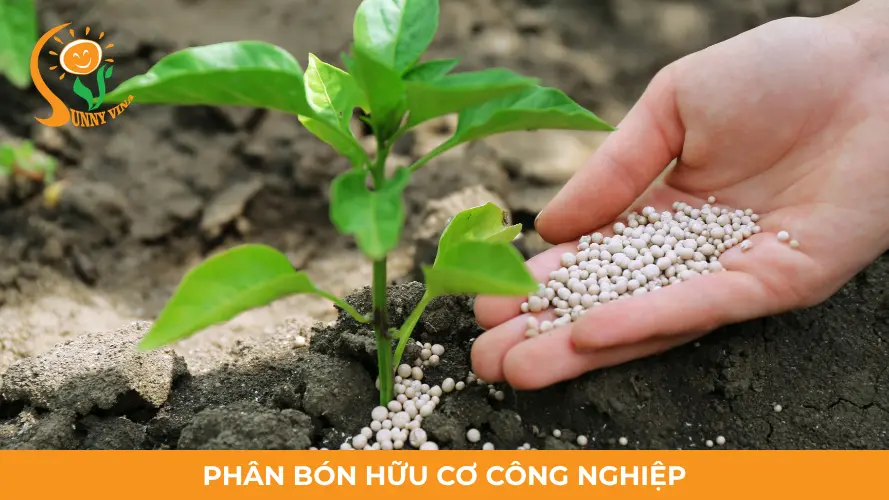 Các loại phân hữu cơ công nghiệp