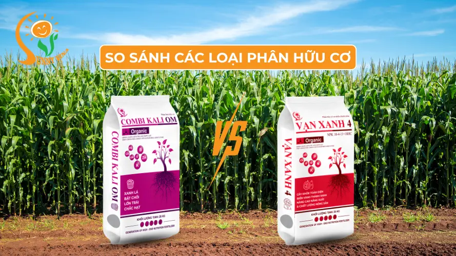 So sánh các loại phân hữu cơ
